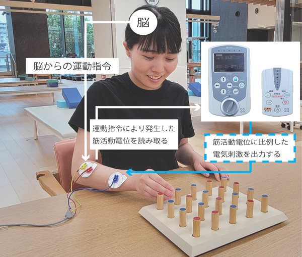 IVES(アイビス)の仕組み